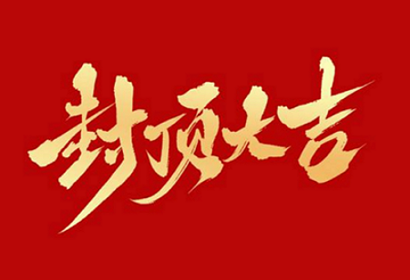 球信网电子股份有限公司背光显示模组扩建及球信网显示组件新建项目封顶仪式